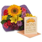 Save $3.00 When You Spend $8.00