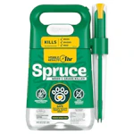 $10.00 Walmart Cash