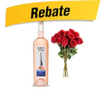 $10.00 REBATE via PayPal