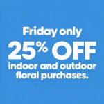 Save 25%