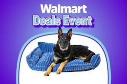 Stock photo of blue large dog sofa