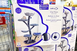 Catry Cat Flower Tree, Only $129.99 at Costco card image