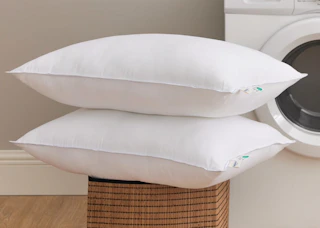 two pillows on a table