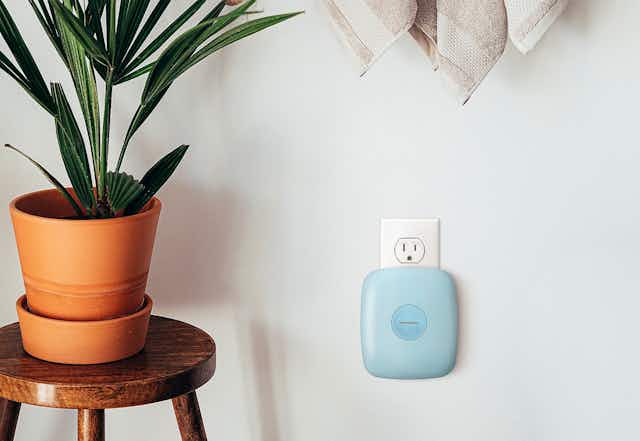 Homedics Wall Outlet UVC Air Purifiers 2-Pack, $60 Shipped at QVC card image