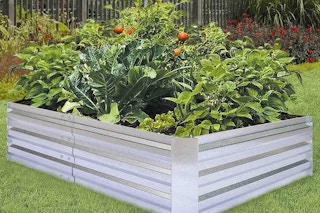 raised garden bed