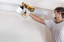 amazon paint sprayer