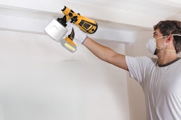 amazon paint sprayer
