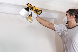 amazon paint sprayer