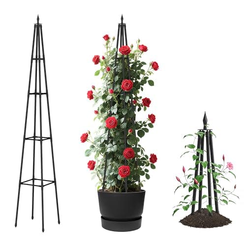 Obelisk Trellis