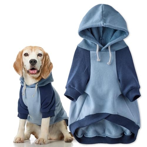 Dog Hoodie