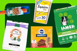 Amazon Dropped a New 50% Off Pet Coupon — Dog Food, Cat Treats, and More card image