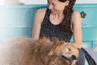 amazon dog bath 1631993454 1631993454