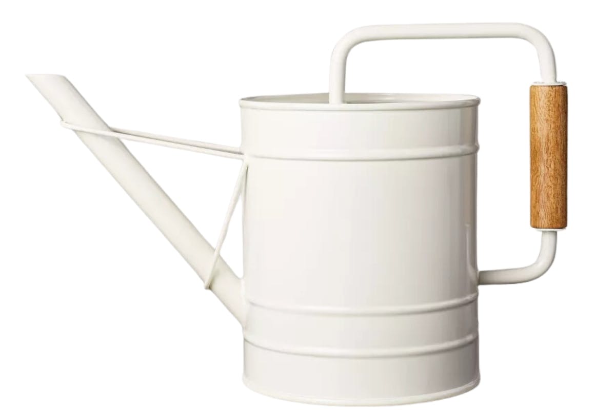 Magnolia Watering Can