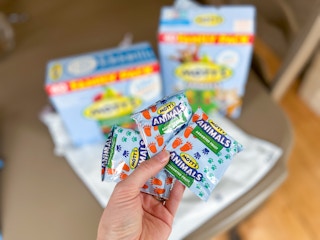 a hand holding packages of fruit snacks