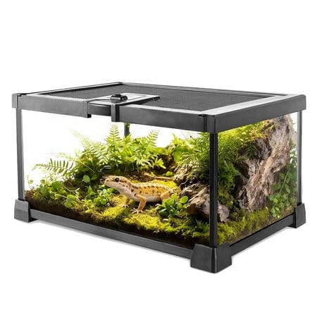 Square Glass Reptile Terrarium
