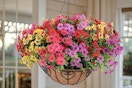 artificial hanging flower baskets