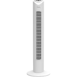 Oscillating Fan