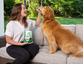 Greenies Immune Health Dog Supplements