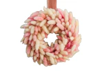 Anthropologie Bunny Tails Wreath