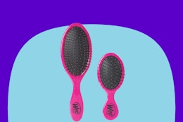 Wet Brush Detangling Duo, Only $13.99 Shipped card image