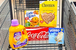 kroger groceries in shopping cart