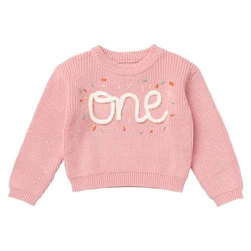 Doughnut One Birthday Sweater