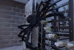 amazon Halloween 6.5-Foot Spider Decoration B07VVGTMCB