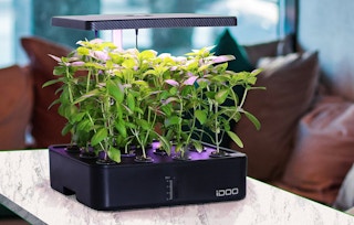 walmart idoo indoor garden kit 2022 1651062379 1651062379