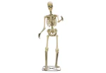Home Depot 12-Foot Servo Skelly