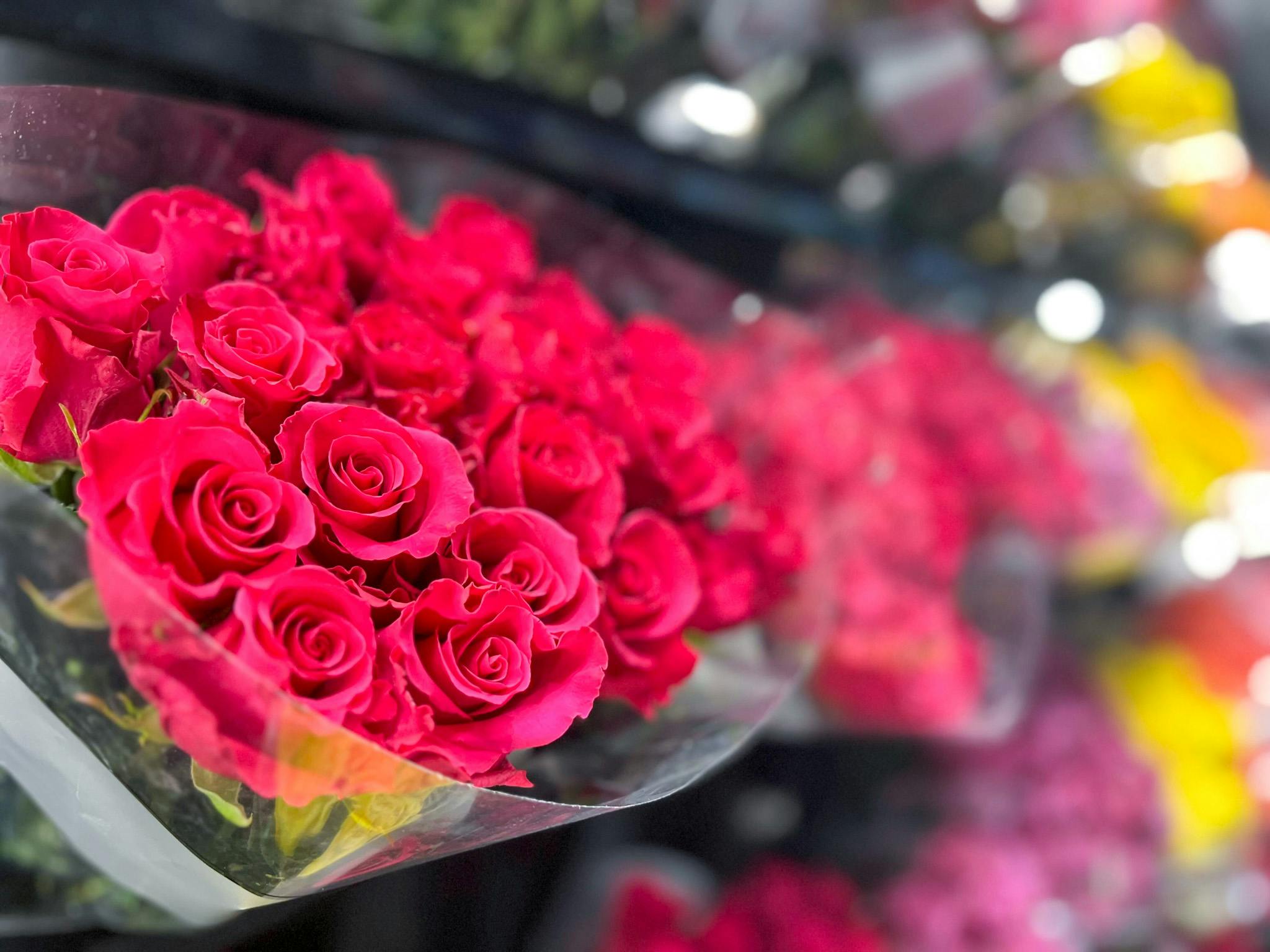 2 Dozen Roses