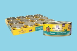 a 12-pack of wellness cat food