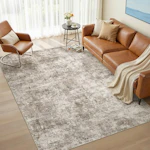Abstract Washable Area Rug
