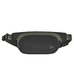 Anti-Theft Waist Pack