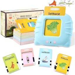 Talking Flash Cards Learning Toy