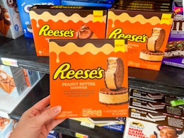 walmart reeses peanut butter chocolate ice cream sandwiches