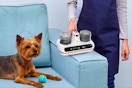 Walmart mattress vacuum cleaner