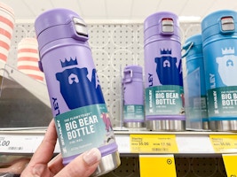 Stanley Big Bear Bottle