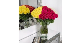rainbow roses in a vase