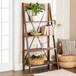 Ladder Bookshelf