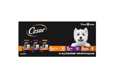 Cesar Wet Dog Food 40-Pack