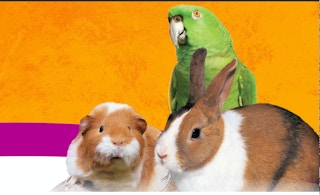 Wild Harvest Natural Treat Mix