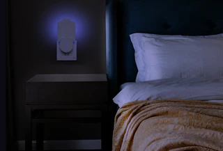 Amazon Indoor Flying Insect Trap 2025