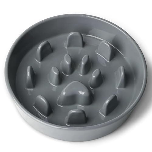 Ceramic Slow Feeder Dog Bowl