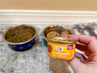 a hand holding a can of cat food in front of bowls of cat food