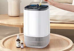 Large Room Air Purifier, Only $29 at Walmart.com (Reg. $36) card image