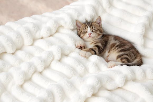 Get 3 Bedsure Throw Blankets for Just $27 With Amazon Prime