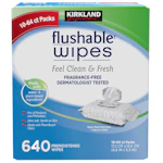 Kirkland Signature Wipes