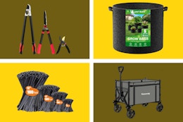 Start Your Garden With These Amazon Deals: Tools, Grow Baskets, and More card image