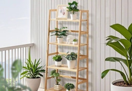 plants and decor sitting on a 4-tier bamboo ladder shelf 