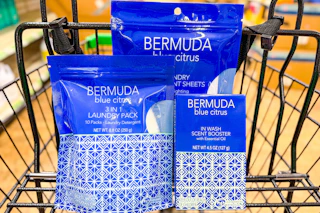 dollar tree bermuda blue citrus laundry products together in a shopping cart